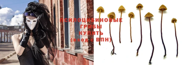 ГАЛЛЮЦИНОГЕННЫЕ ГРИБЫ Арсеньев