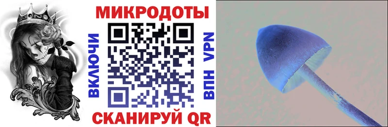 купить наркотики сайты  Нововоронеж  Галлюциногенные грибы Psilocybine cubensis 